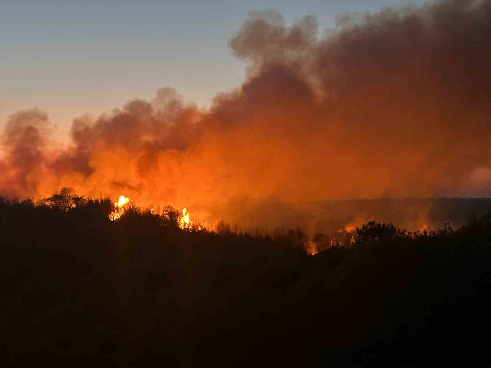 Beykoz&rsquo;da 3 hektarlık alan k&uuml;le d&ouml;nd&uuml;: Yangına m&uuml;dahale devam ediyor
