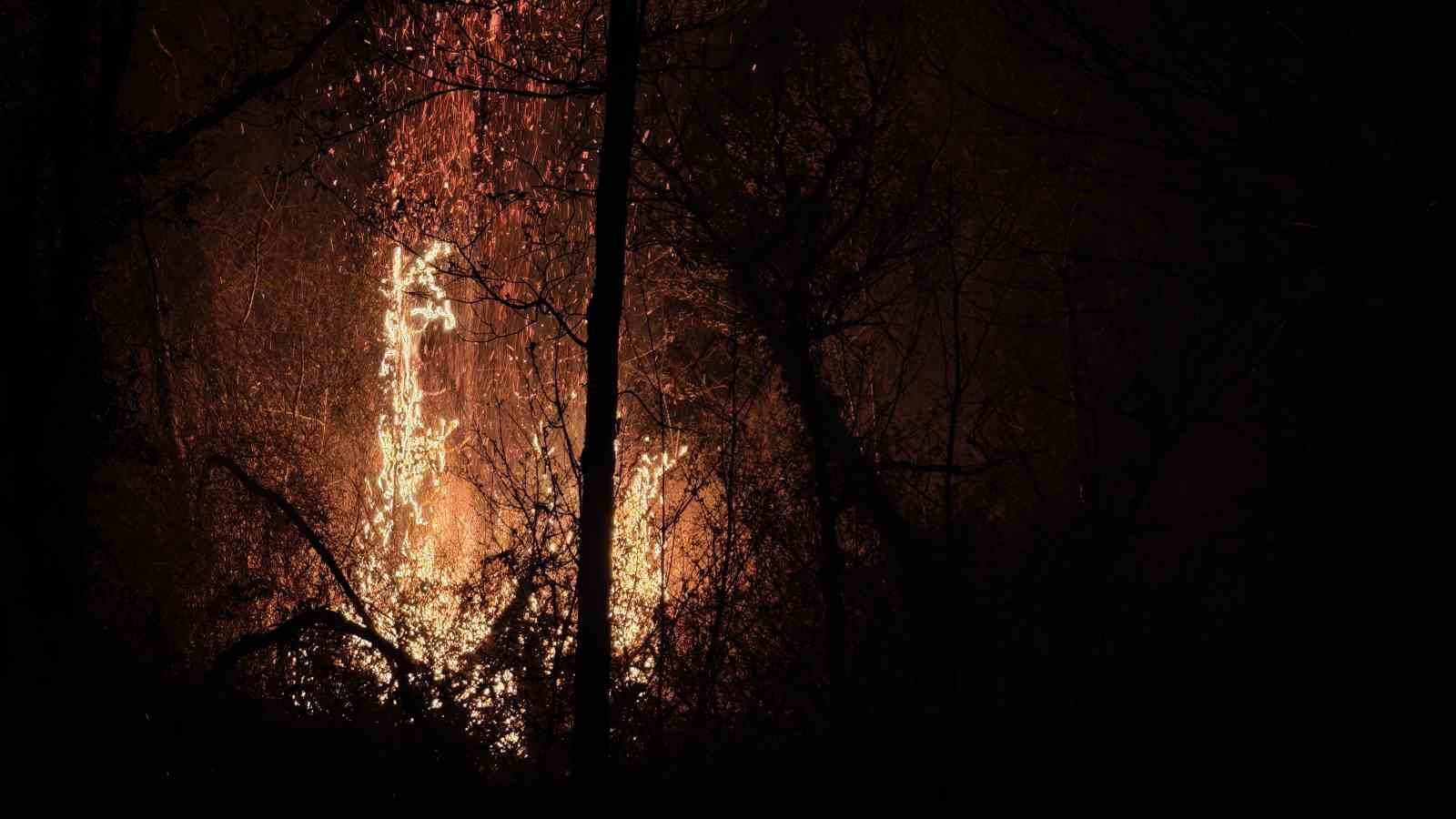 Beykoz&rsquo;daki orman yangını 9 saatte kontrol alındı
