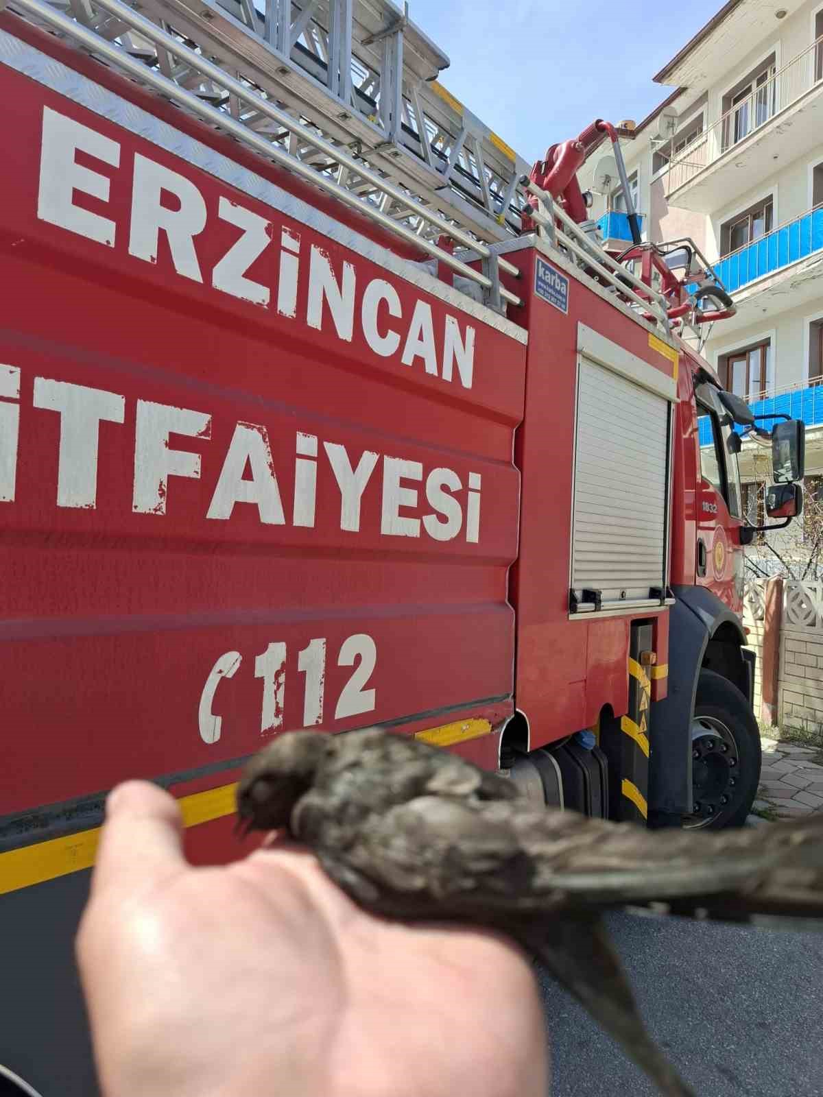 &Ccedil;atıya takılan kuşu itfaiye kurtardı
