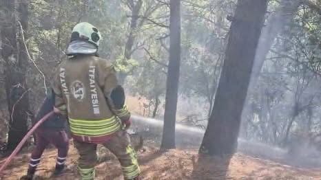 İskenderun&rsquo;da orman yangını kontrol altına alındı
