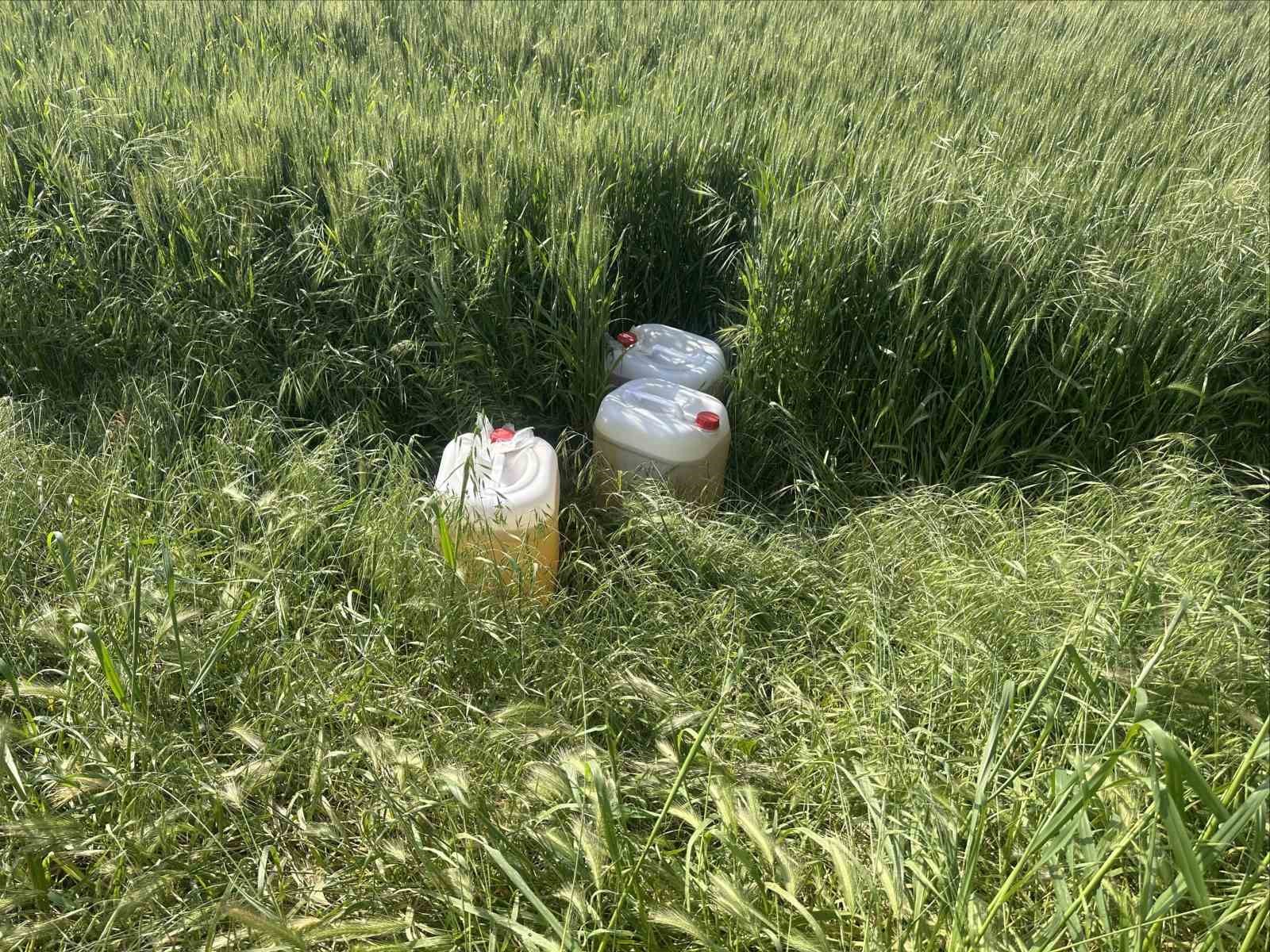 S&ouml;ke&rsquo;de g&ouml;&ccedil;men ka&ccedil;ak&ccedil;ılığı operasyonu: 6 tutuklama
