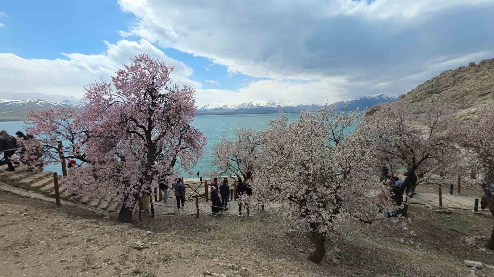 Akdamar Adası’nda renk cümbüşü
