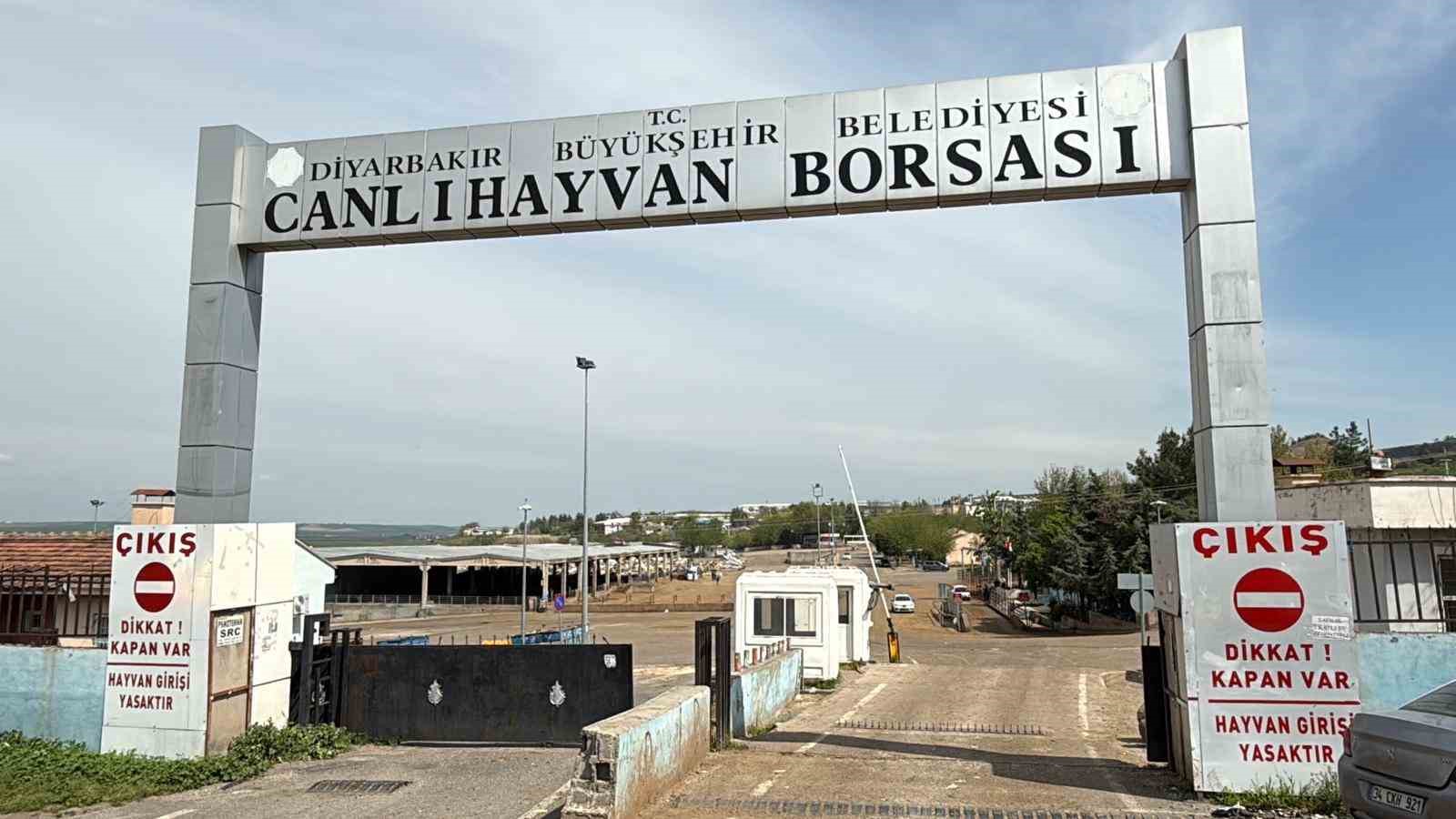 Diyarbakır Canlı Hayvan Borsası tadilata alındı

