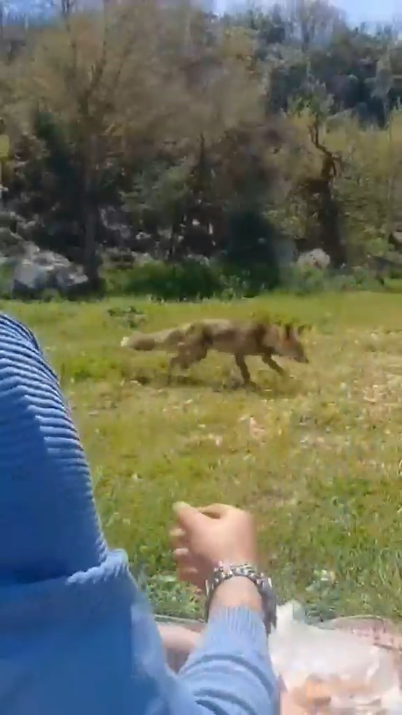 Bursa&rsquo;da ilgin&ccedil; g&ouml;r&uuml;nt&uuml;ler
