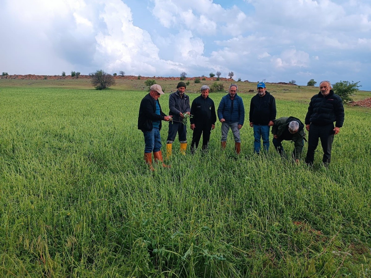 Elazığ&rsquo;da dolu yağışı sonrası hasar tespit &ccedil;alışması
