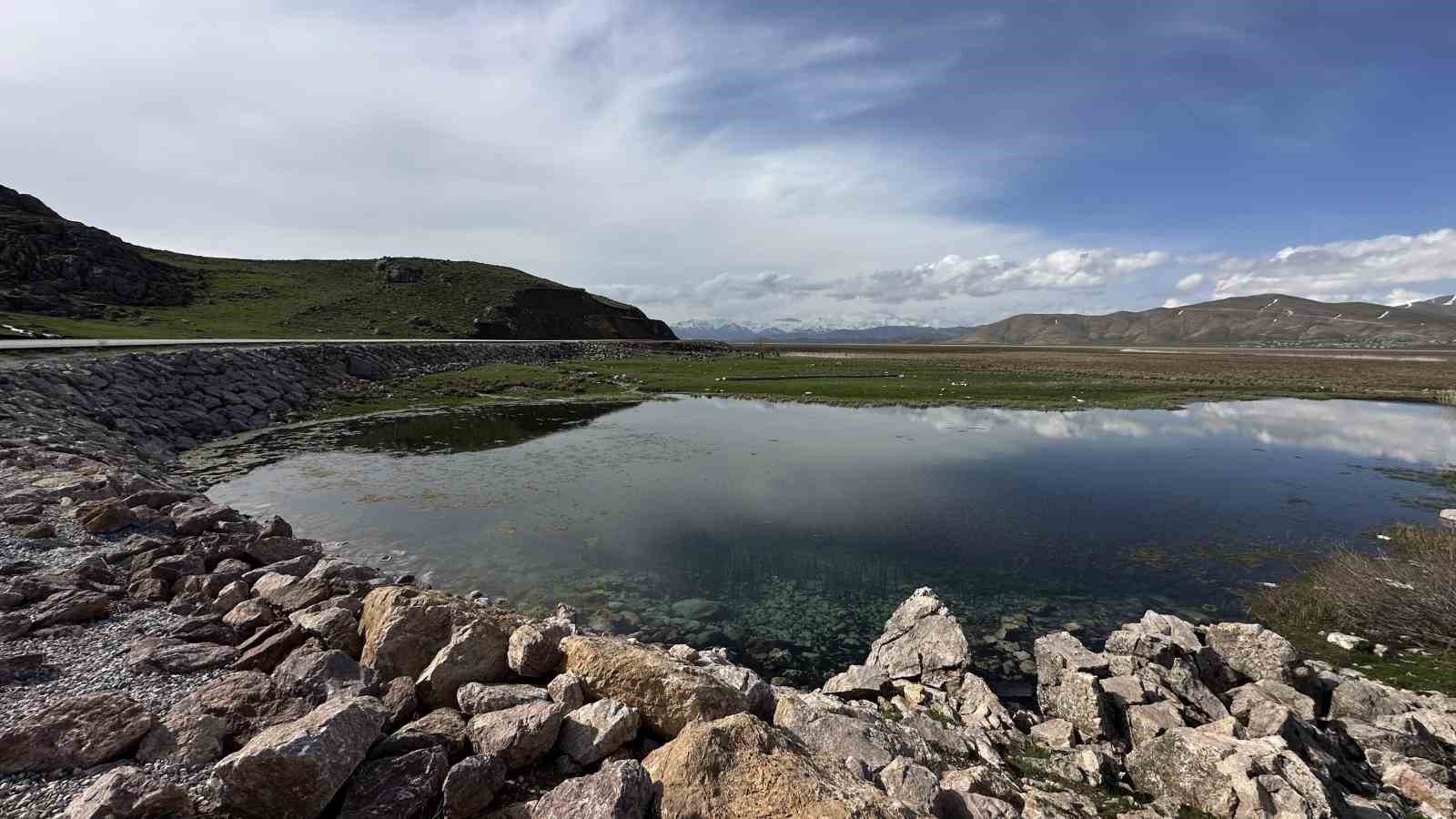 Brezilya&rsquo;nın &lsquo;Yılan Adası&rsquo; değil Y&uuml;ksekova
