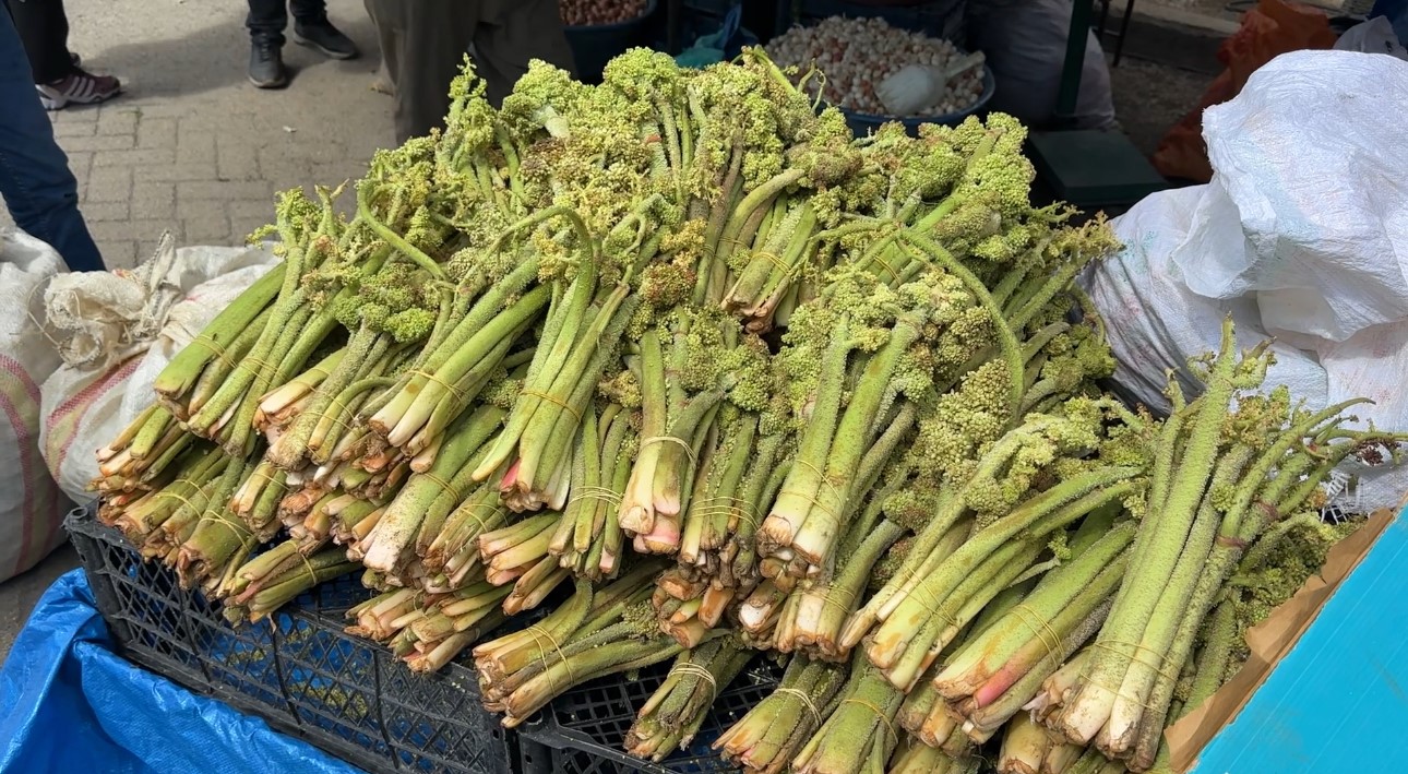 Y&uuml;ksekova&rsquo;da &lsquo;yayla muzu&rsquo; mesaisi başladı
