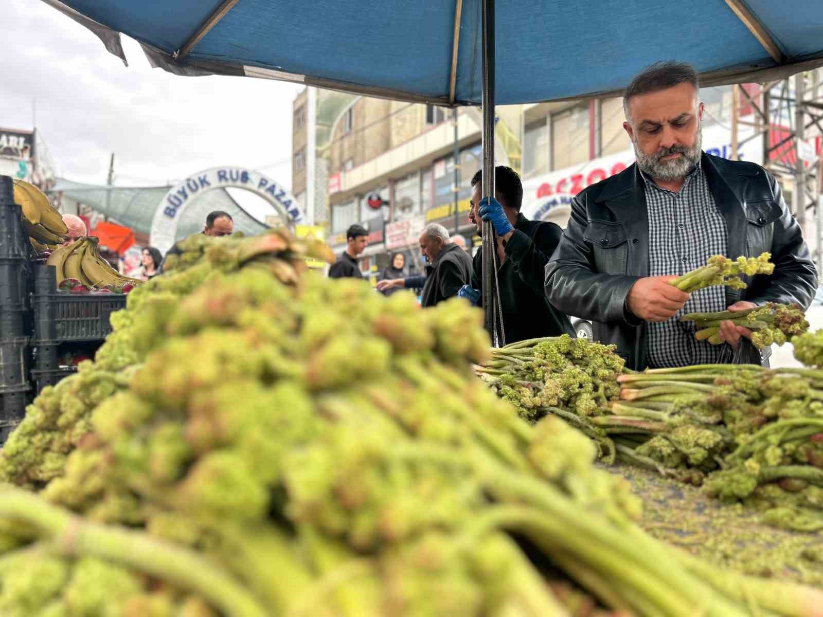Yayla muzu u&ccedil;kun tezgaha &ccedil;ıktı
