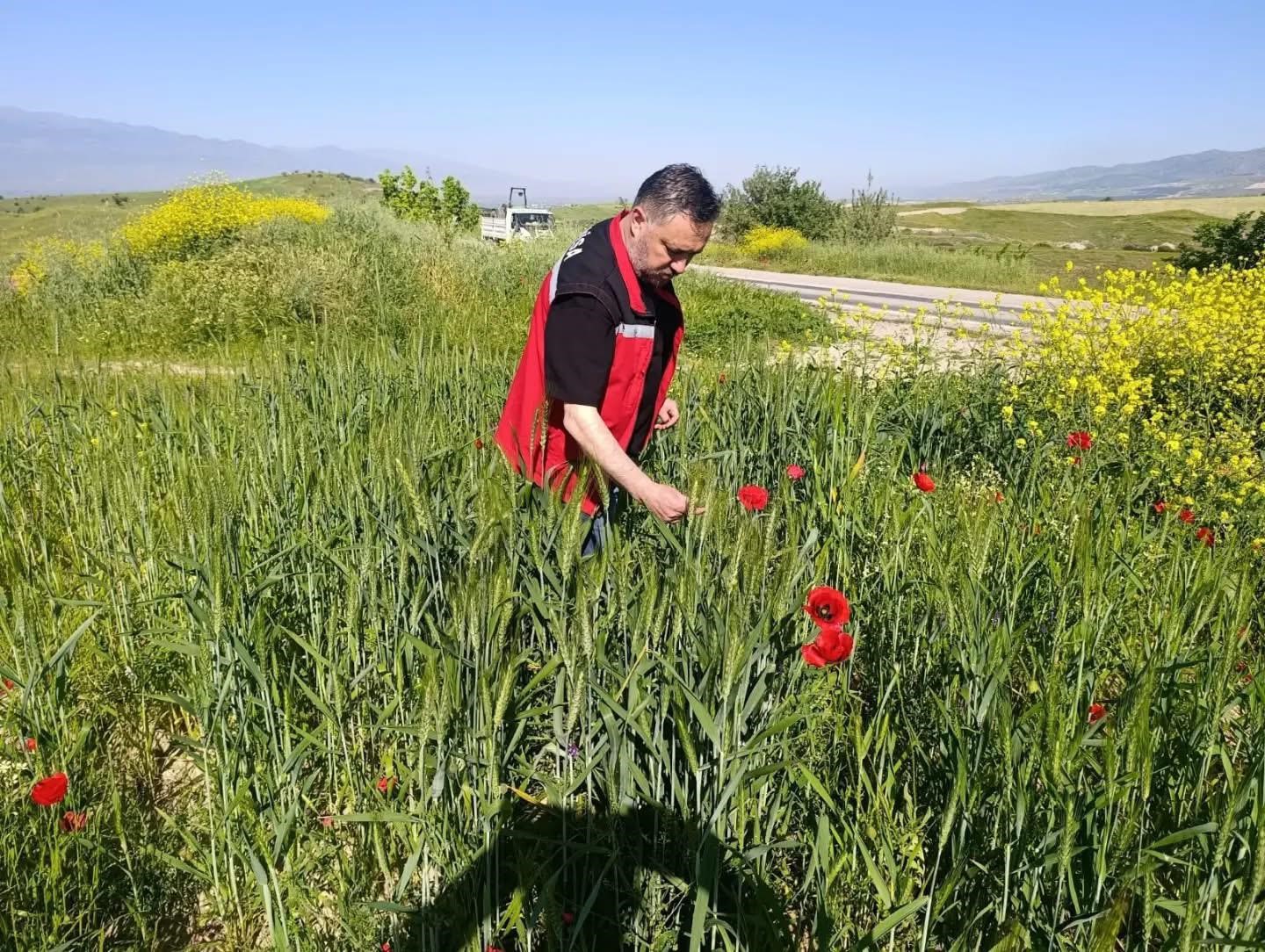 Sarıg&ouml;l&rsquo;de huhubatta verim i&ccedil;in ekipler sahada

