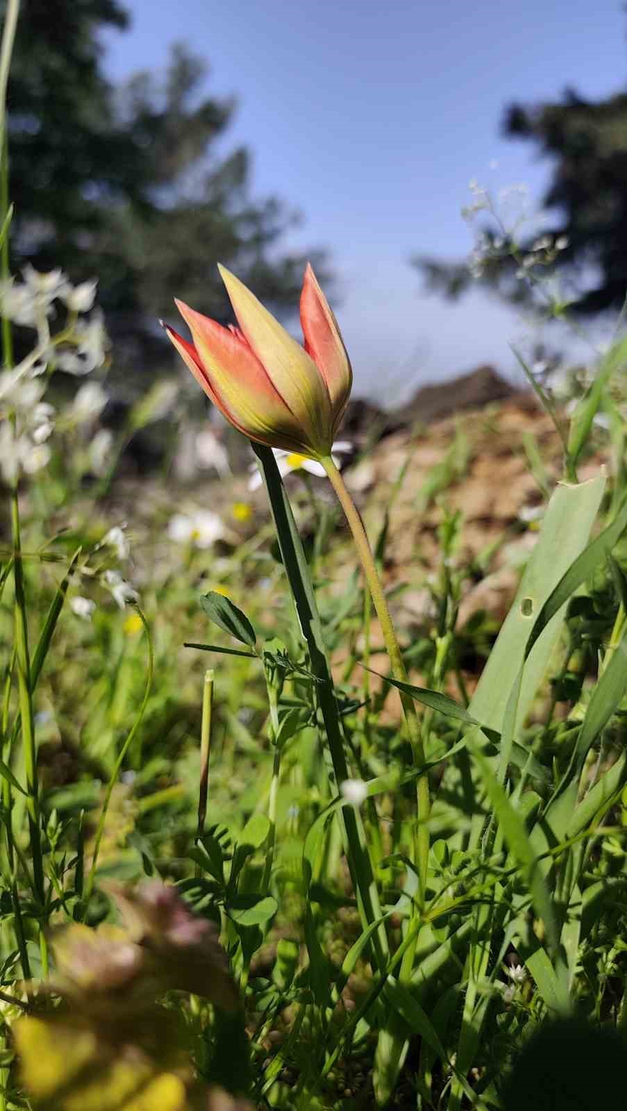&Ouml;mr&uuml; 10 g&uuml;n, koparmanın cezası araba parası
