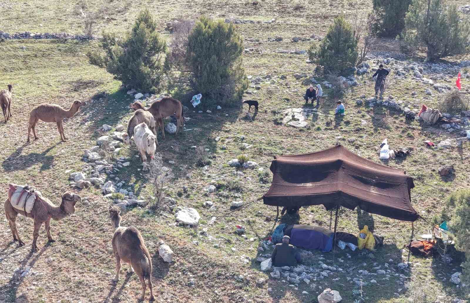 Toroslar&rsquo;da Y&ouml;r&uuml;k g&ouml;&ccedil;&uuml; başladı: Sarıke&ccedil;ililer yayla yolunda

