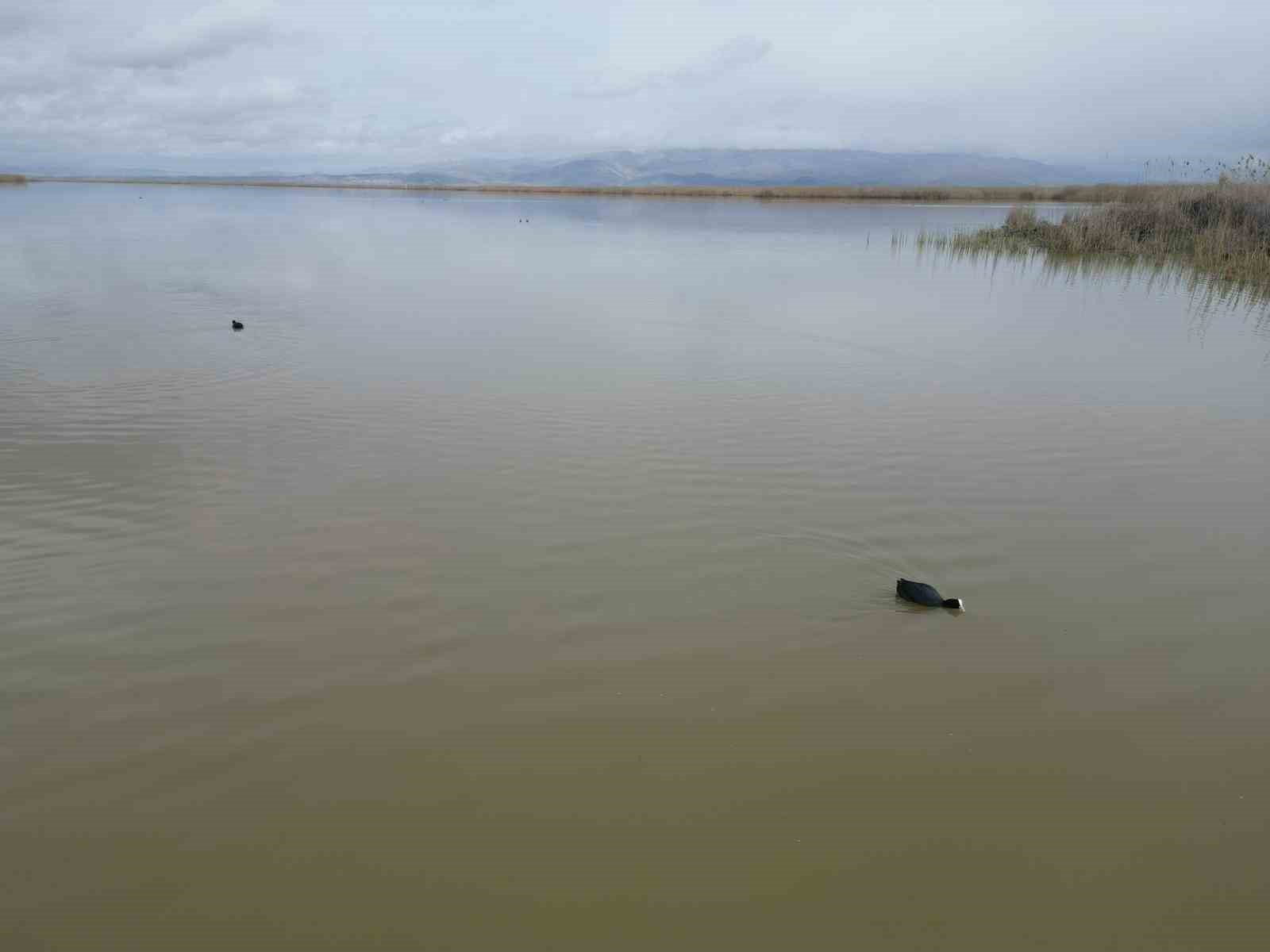 Karaya oturan kayıklar, su seviyesi artınca yüzmeye başladı, ortaya çıkan adacıklar yok oldu