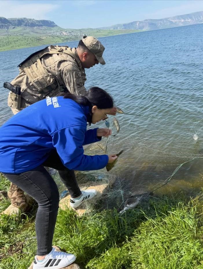 Şırnak&rsquo;ta yasak d&ouml;nemde yakalanan balıklar doğaya kazandırıldı
