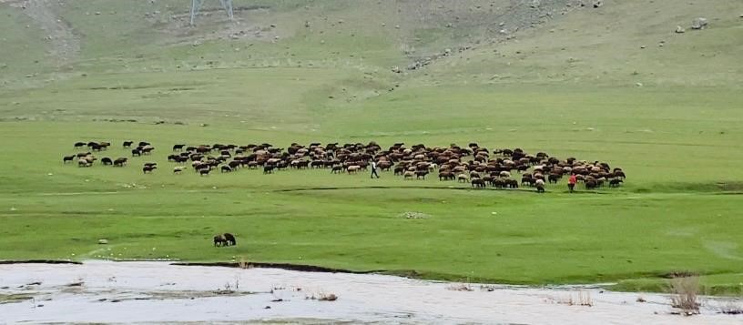 Ağrı&rsquo;da iki mevsim bir arada
