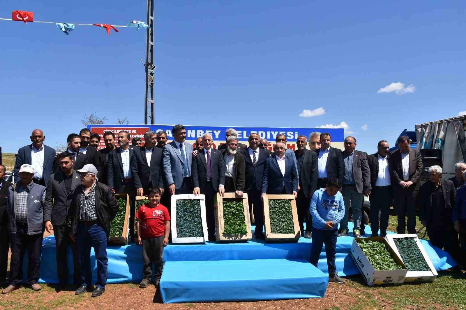 Şahinbeyli &ccedil;ift&ccedil;ilere sertifikalı fide desteği
