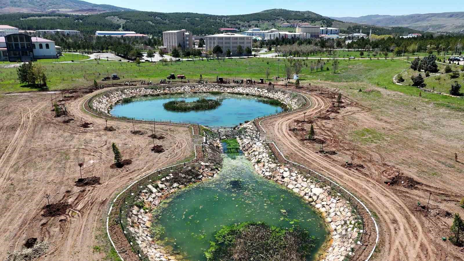 Sivas&rsquo;ta şehitlerin adı fidanlarda yaşatılacak
