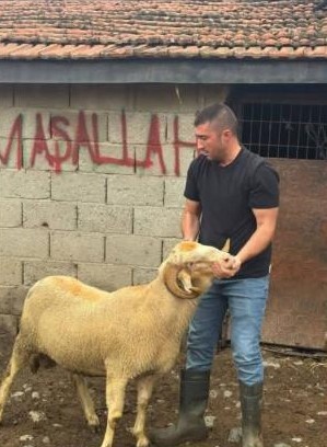 Burhaniye’de kurbanlıklar satışa çıktı