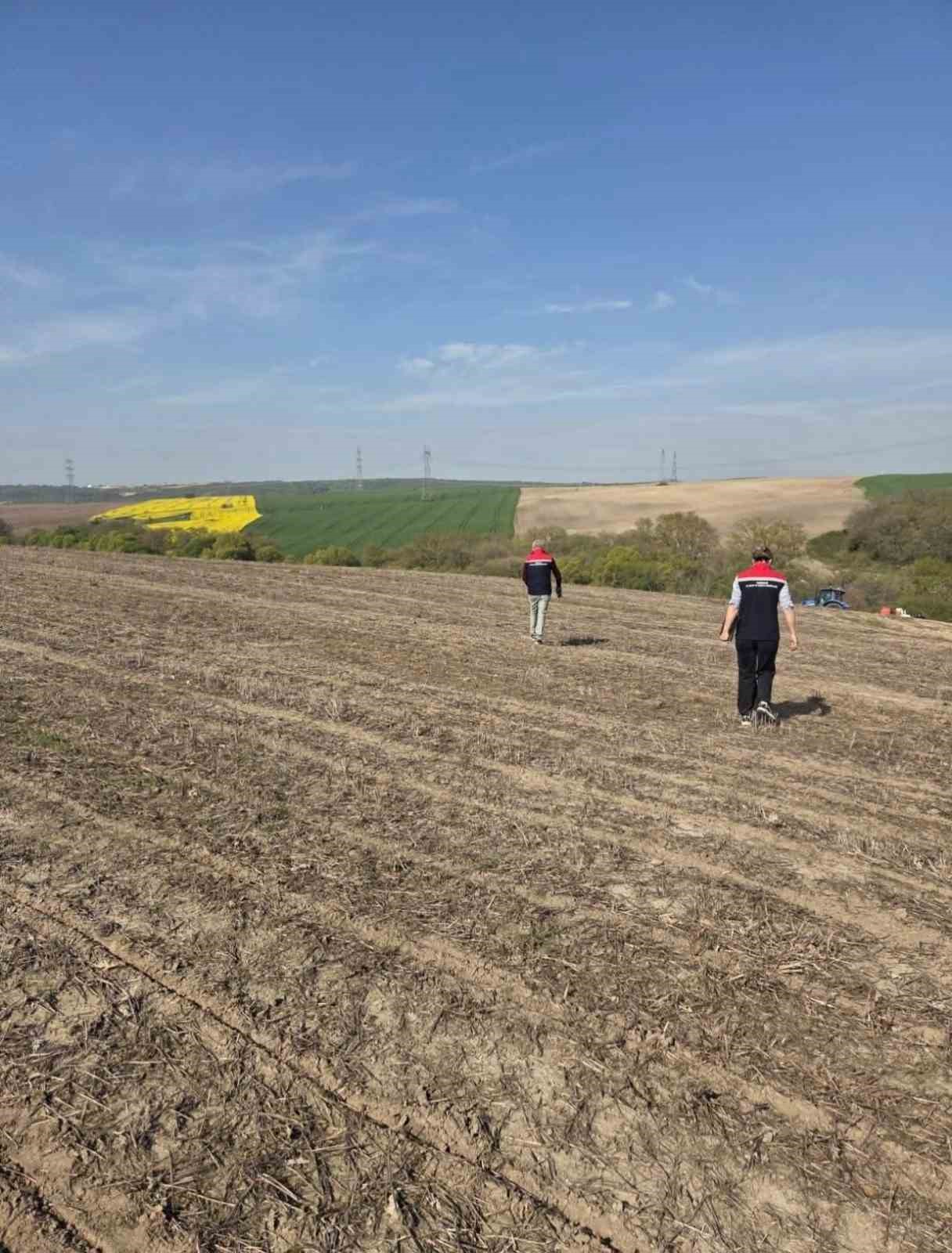 Tekirdağ&rsquo;da ay&ccedil;i&ccedil;eği tohumları anıza ekim y&ouml;ntemiyle toprakla buluştu
