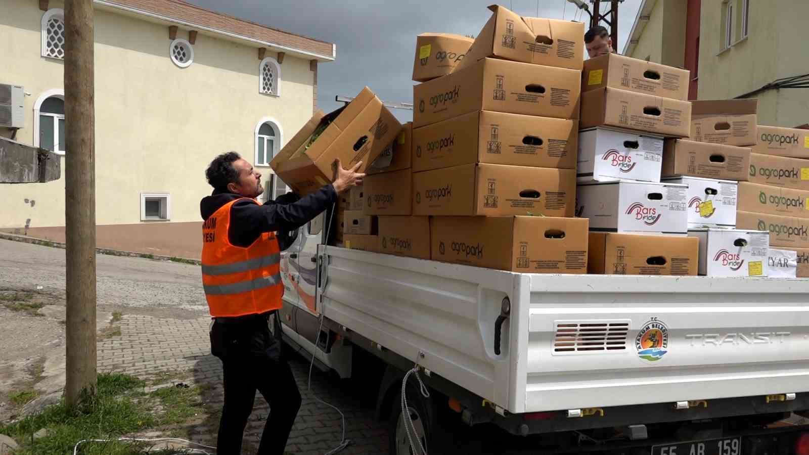 Atakumlu &ccedil;ift&ccedil;iye 100 bin sebze fidesi
