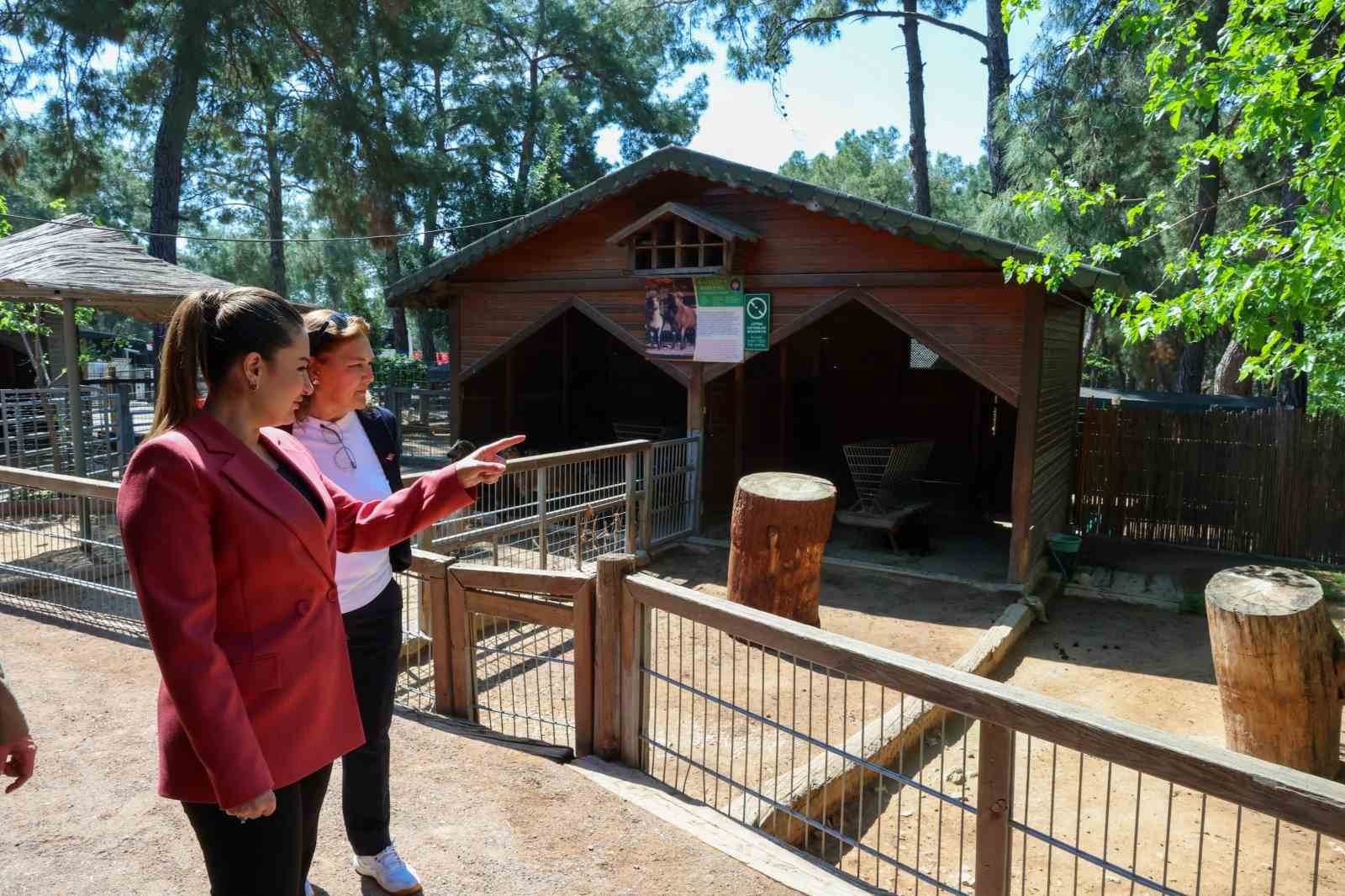 Başkan Vekili B&uuml;şra &Ouml;zdemir: "Veteriner hekimlerin &uuml;stlendikleri sorumluluk &ccedil;ok kıymetli"
