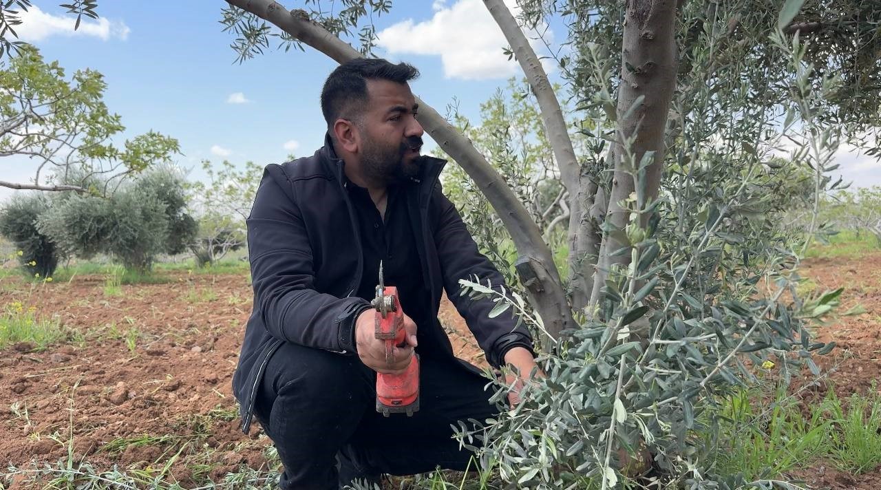 Şanlıurfa&rsquo;da zeytin &uuml;reticilerine kritik uyarı

