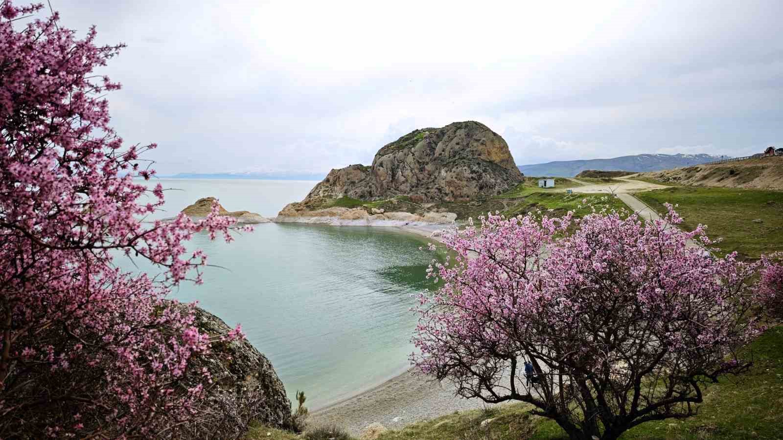 Badem &ccedil;i&ccedil;ekleri Van G&ouml;l&uuml; kıyılarını renklendirdi
