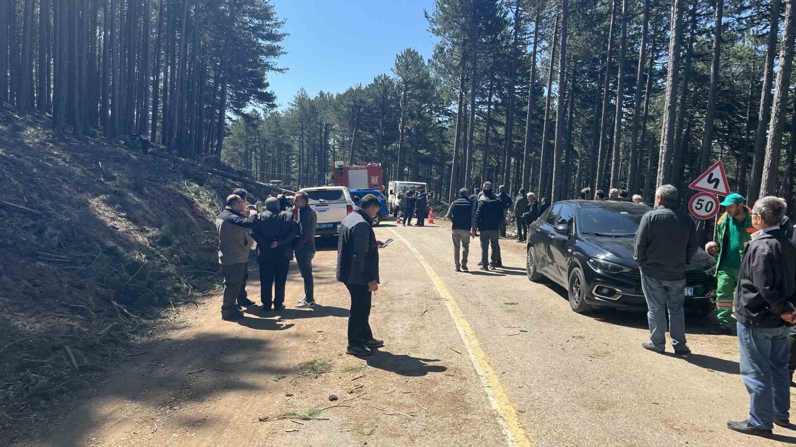 Uludağ&rsquo;da inanılmaz olay...Kesilen ağa&ccedil; seyir halindeki kamyonetin &uuml;zerine devrildi: 1 &ouml;l&uuml;
