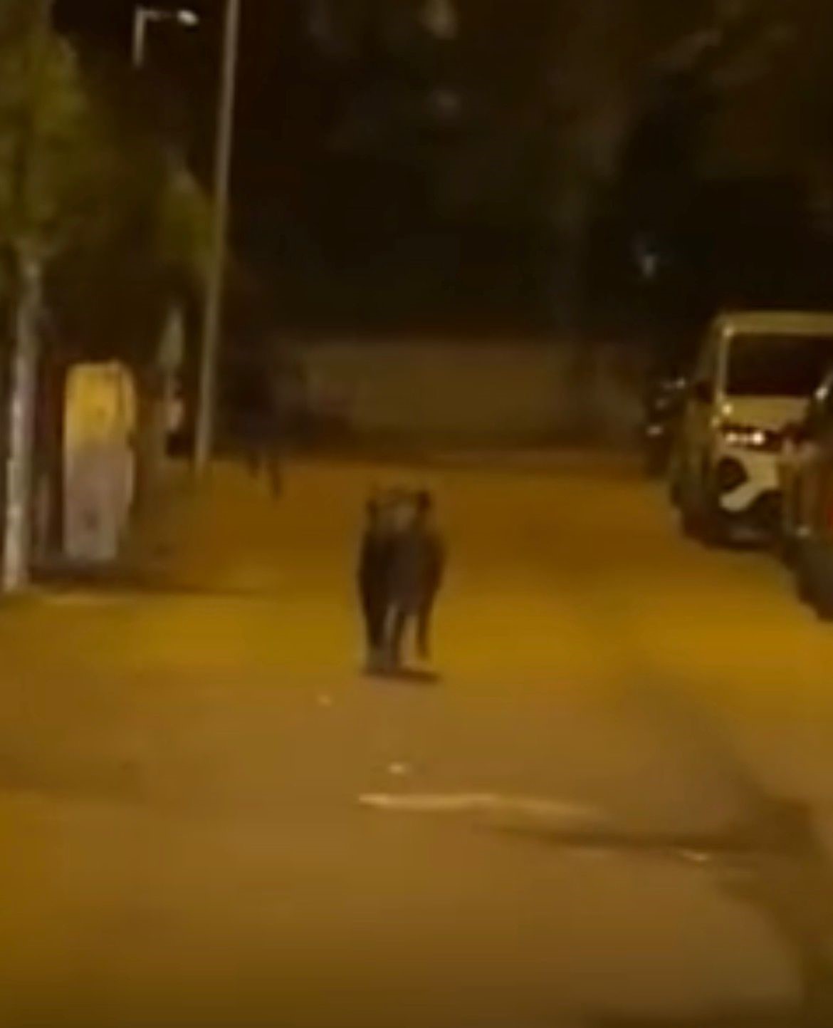 Batman&rsquo;da yaban domuzunun yaraladığı 3 kişi taburcu edildi
