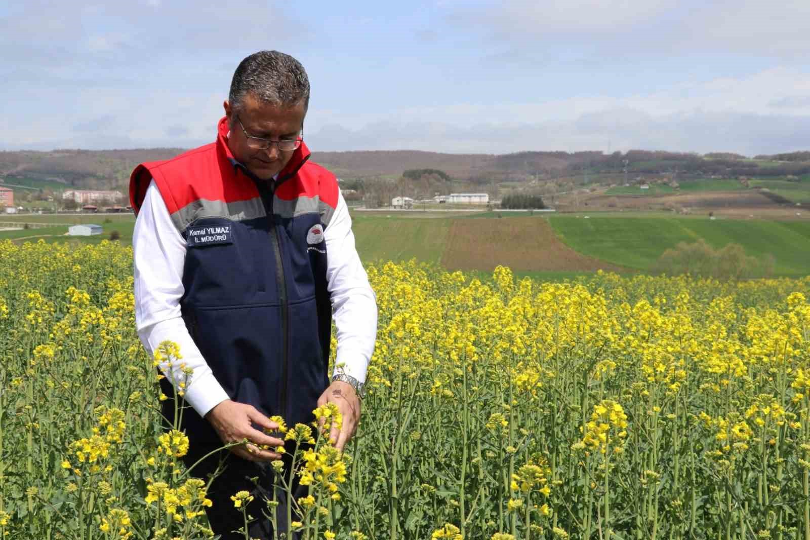 Ay&ccedil;i&ccedil;eği ve kuru fasulye tohumları &ccedil;ift&ccedil;ilere teslim edildi
