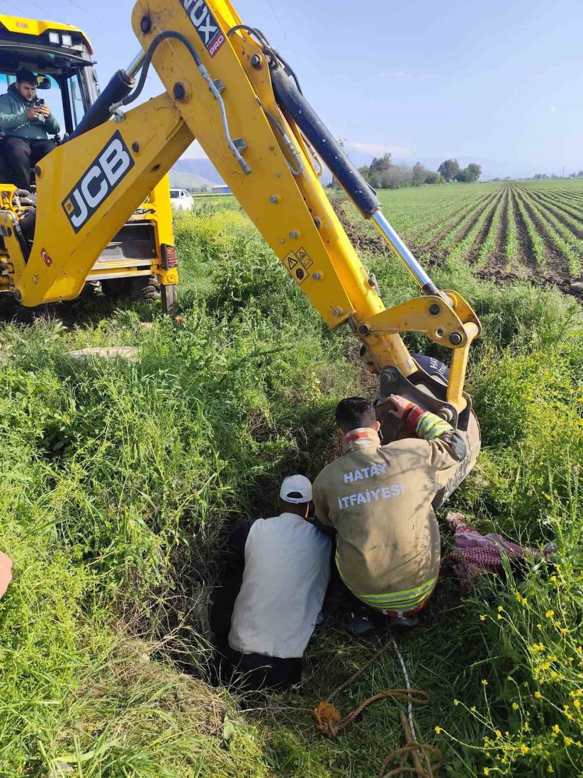 Antakya’da kuyuya düşen büyükbaş hayvan kurtarıldı