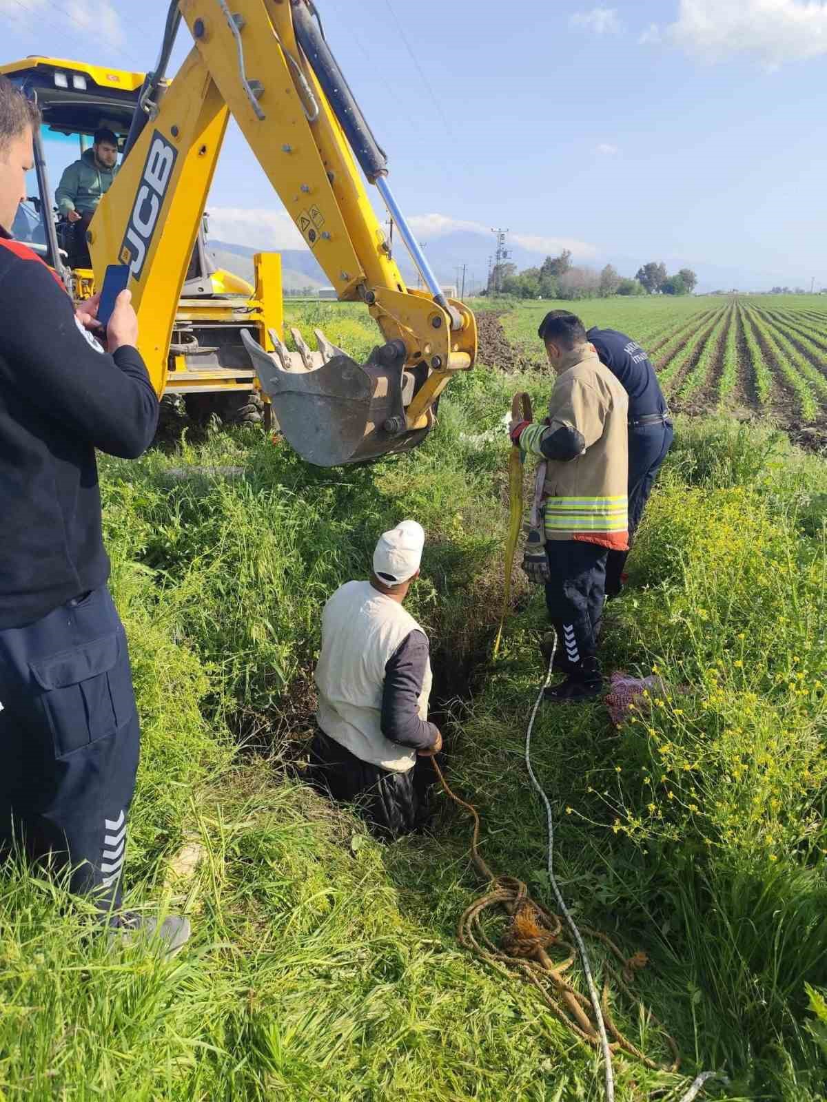Antakya&rsquo;da kuyuya d&uuml;şen b&uuml;y&uuml;kbaş hayvan kurtarıldı
