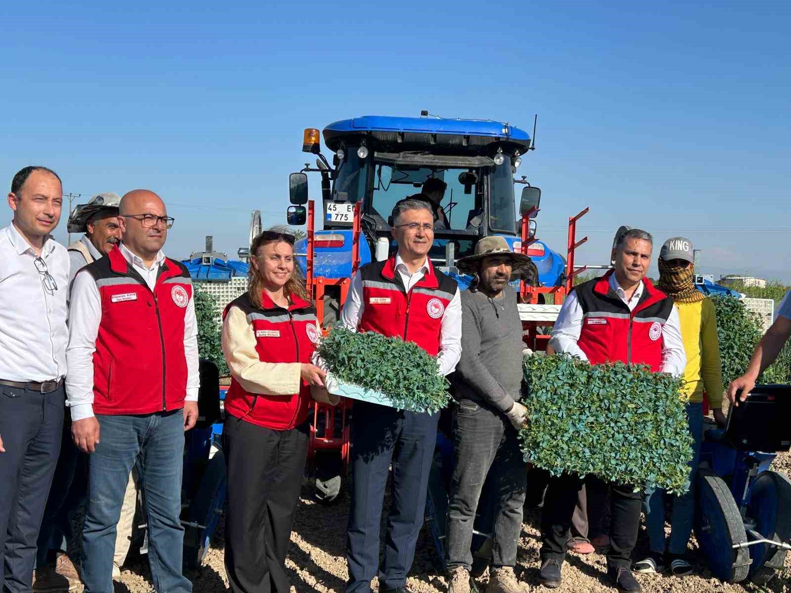 Manisa&rsquo;da 131 bin dekarlık alanda domates mesaisi
