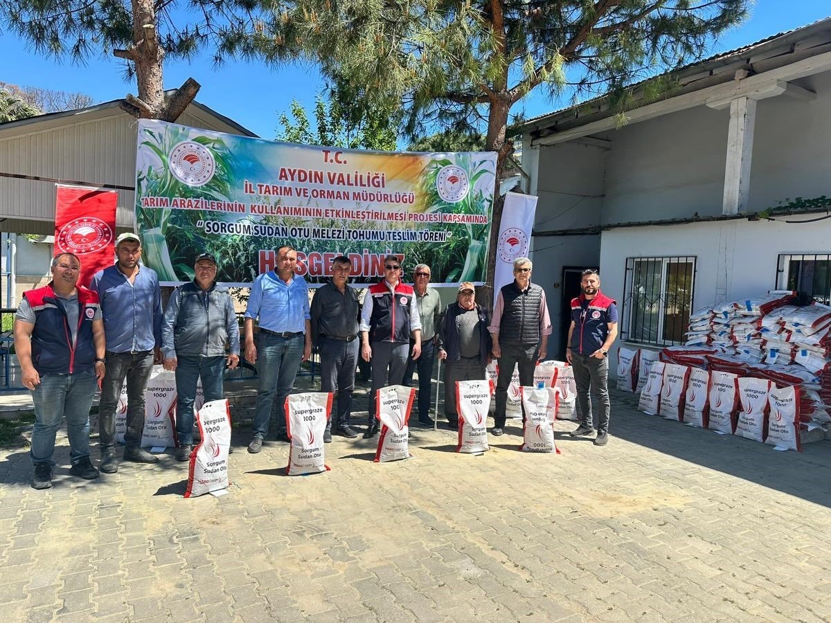 Silajlık mısıra alternatif olan sorgum otu &uuml;reticilere dağıtıldı
