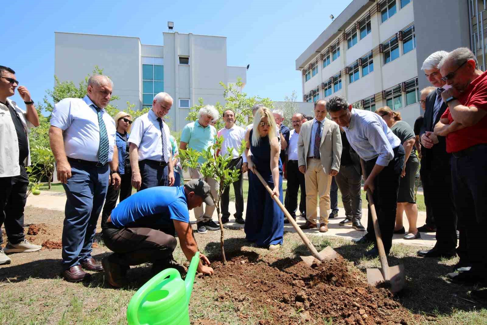 Akdeniz &Uuml;niversitesi&rsquo;nde son 2 yılda 5 bin fidan dikildi
