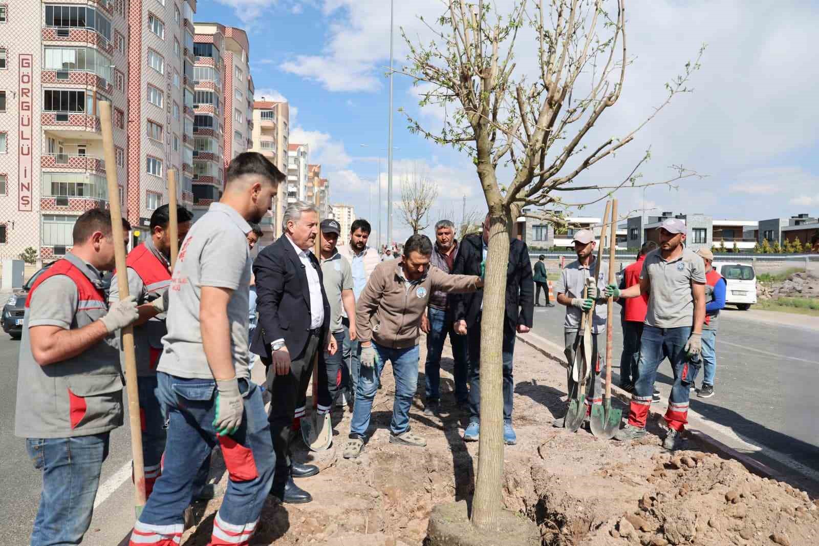 Melikgazi, ağa&ccedil;landırma &ccedil;alışmaları ile geleceğe daha yeşil bir miras bırakıyor
