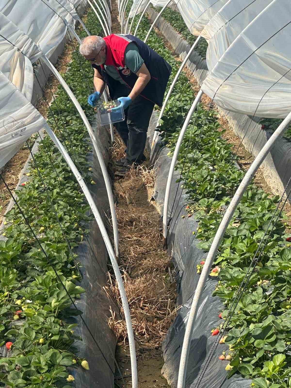 K&ouml;şk&rsquo;ten Sultanhisar&rsquo;a &ccedil;apraz denetim
