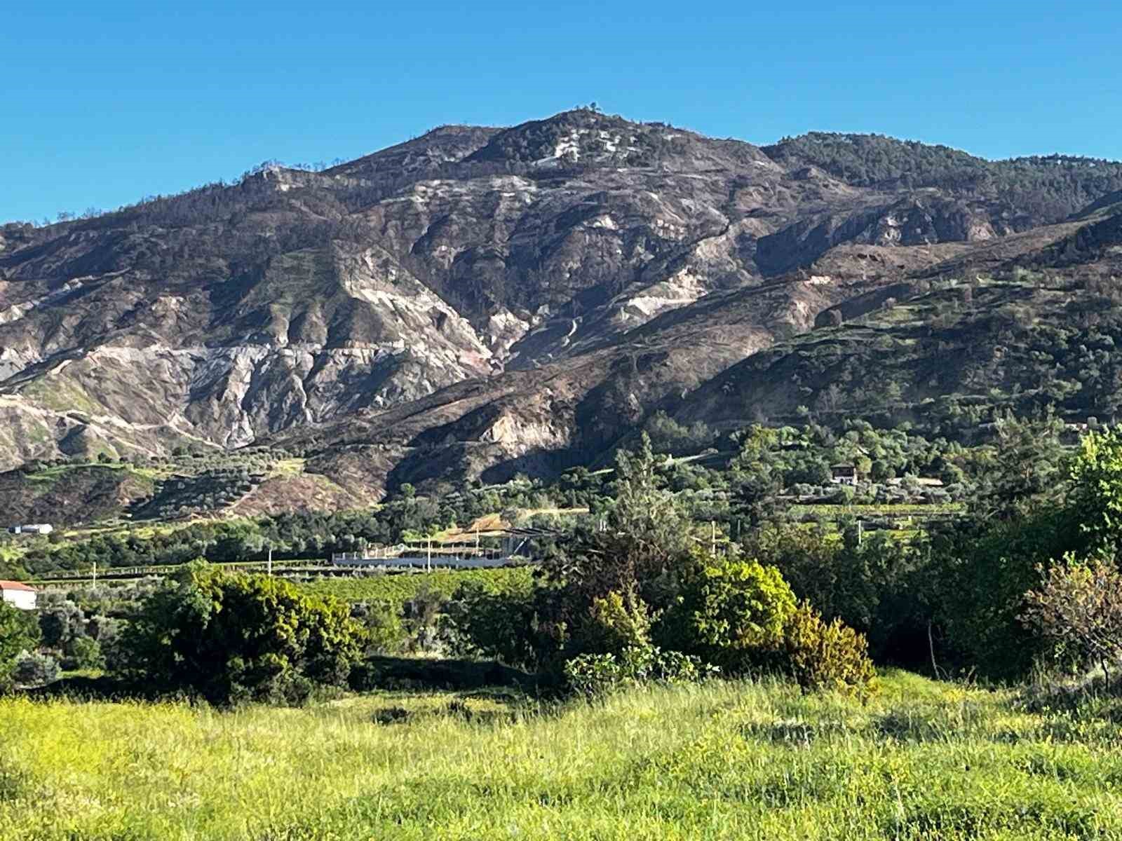 Buldan&rsquo;da 5 g&uuml;n s&uuml;ren yangının izleri dağlarda kaldı
