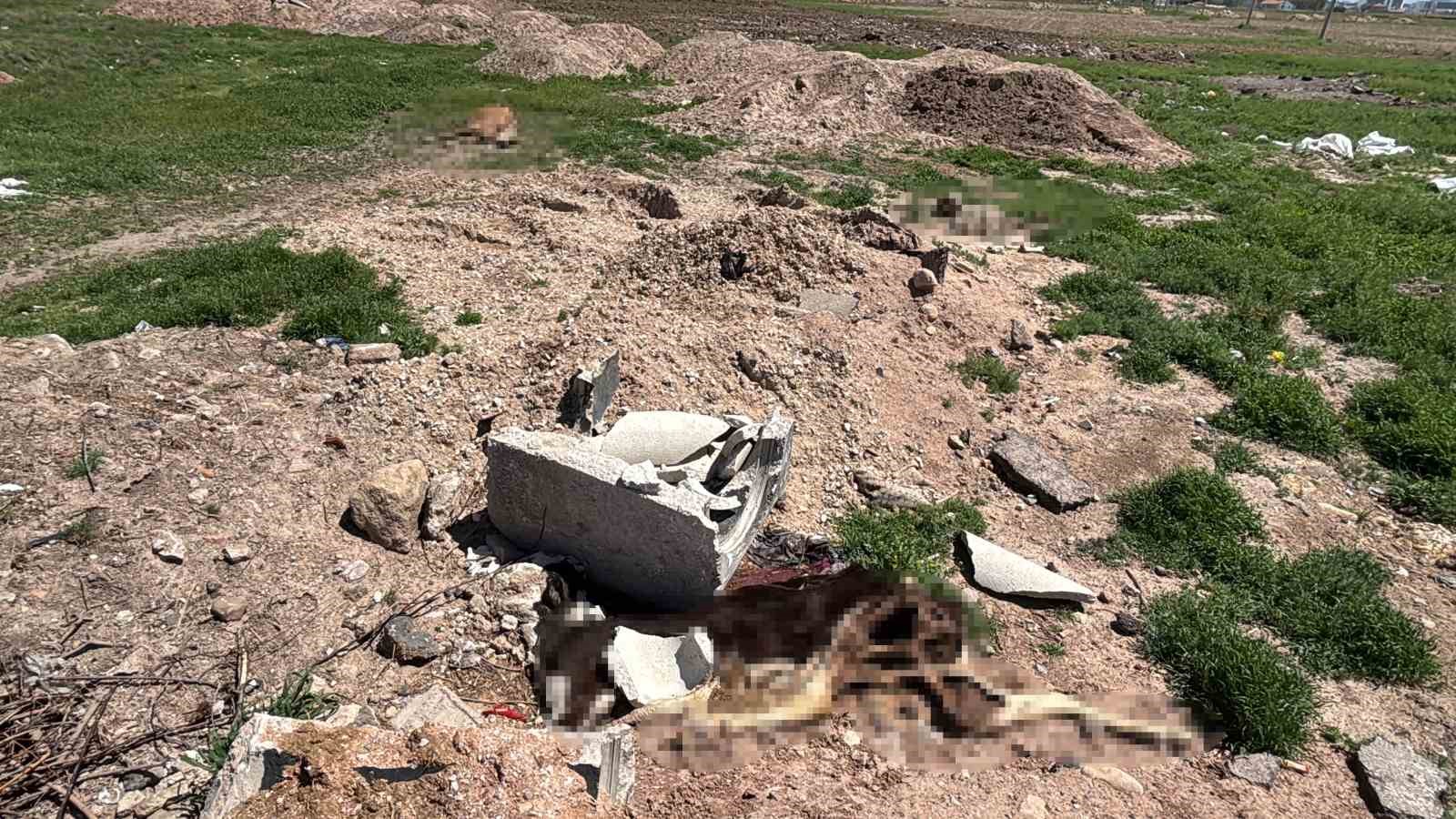 Aksaray&rsquo;da &ouml;len hayvanlarını araziye atanlara 390 bin lira ceza
