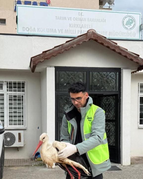 Kırklareli&rsquo;de yaralı leyleğe şefkat eli
