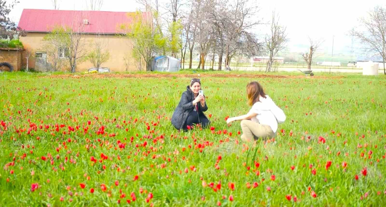 Muş&rsquo;ta akademisyenler lalelerle buluştu
