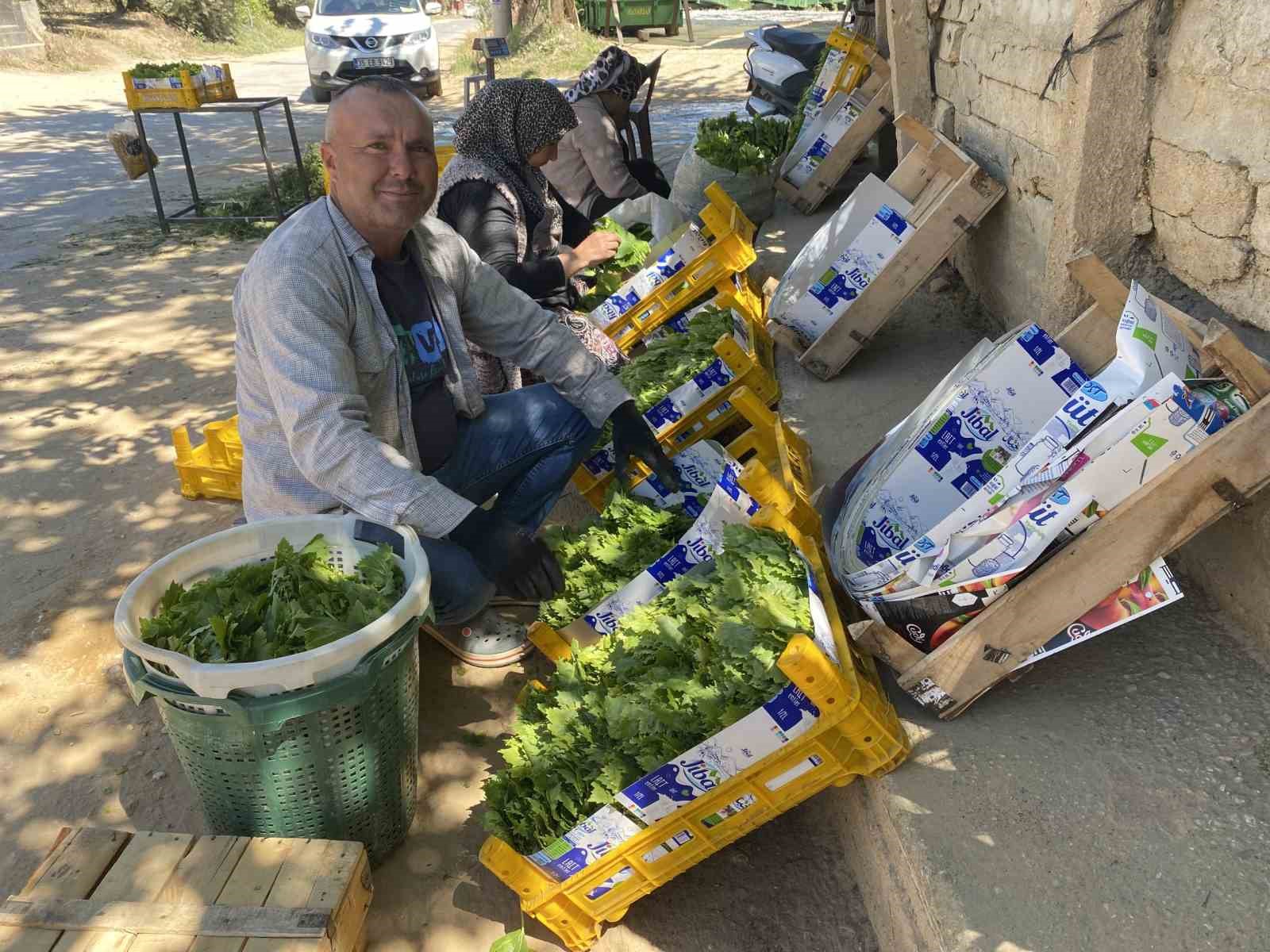 &Uuml;z&uuml;mden &ouml;nce yaprağı kazandırıyor
