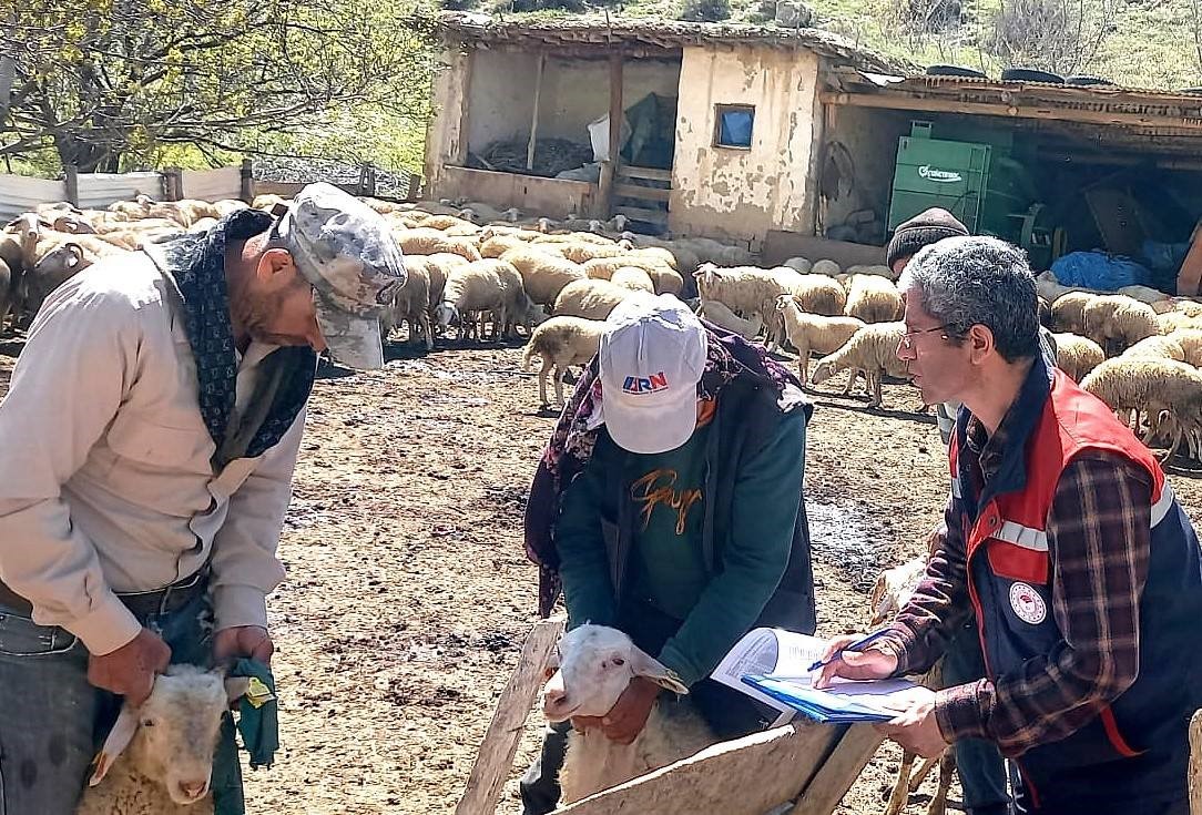 Kuzuların gelişim s&uuml;re&ccedil;leri kontrol edildi
