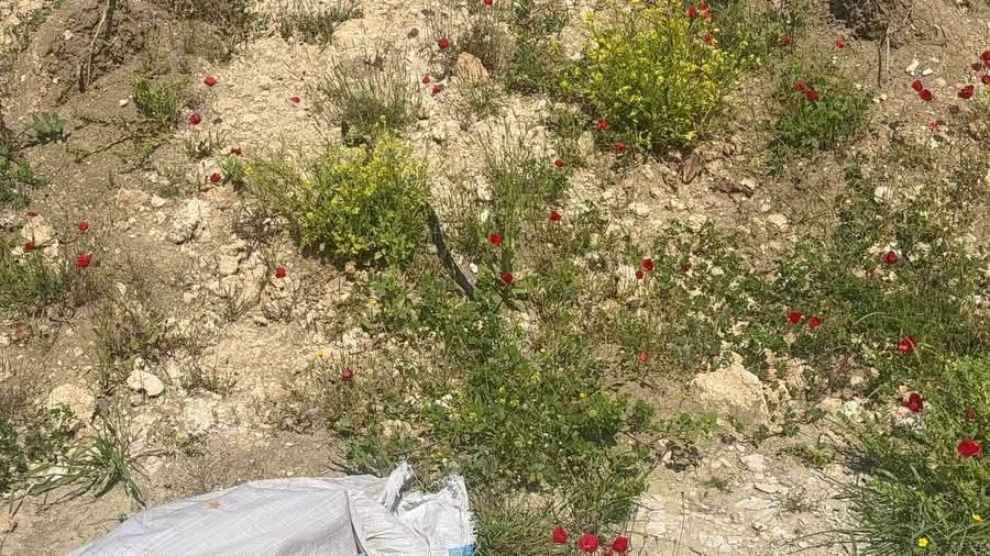 Antakya&rsquo;da eve giren yılanı itfaiye yakaladı
