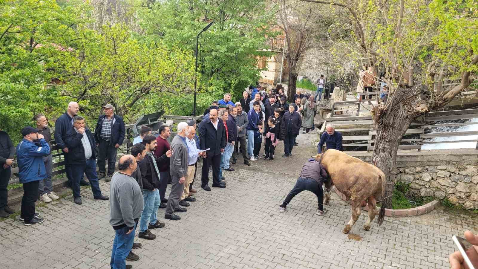 Geçmişten günümüze: Kemaliye’de şükür kurbanı
