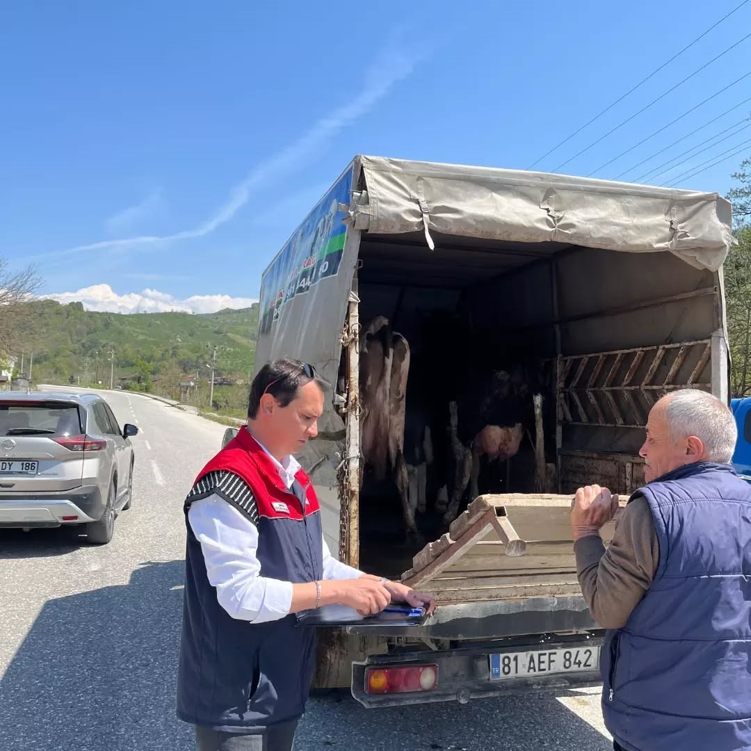 Hayvan sevki denetim altında
