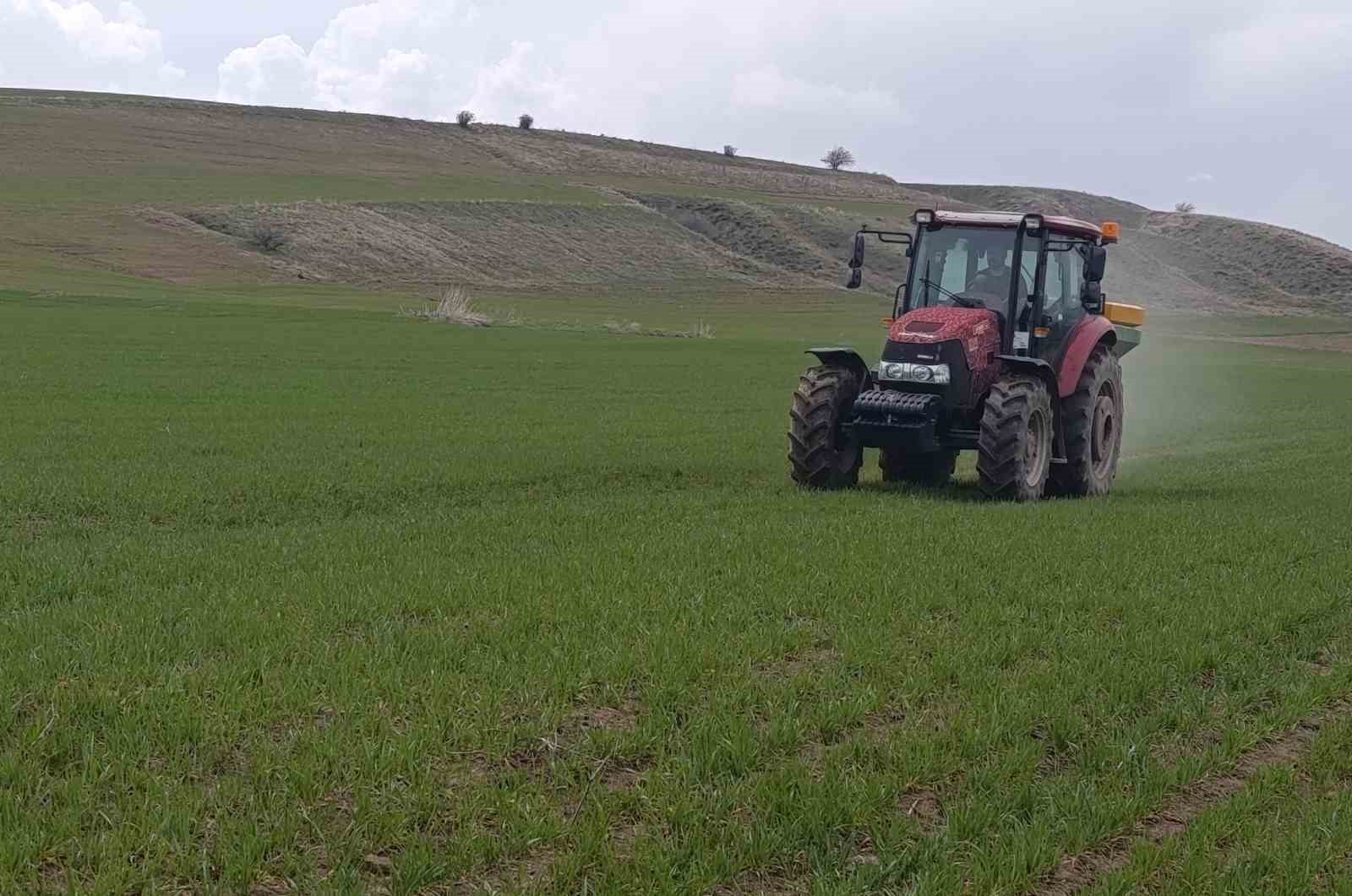 Ahlat’ta buğday tarlalarında gübre mesaisi