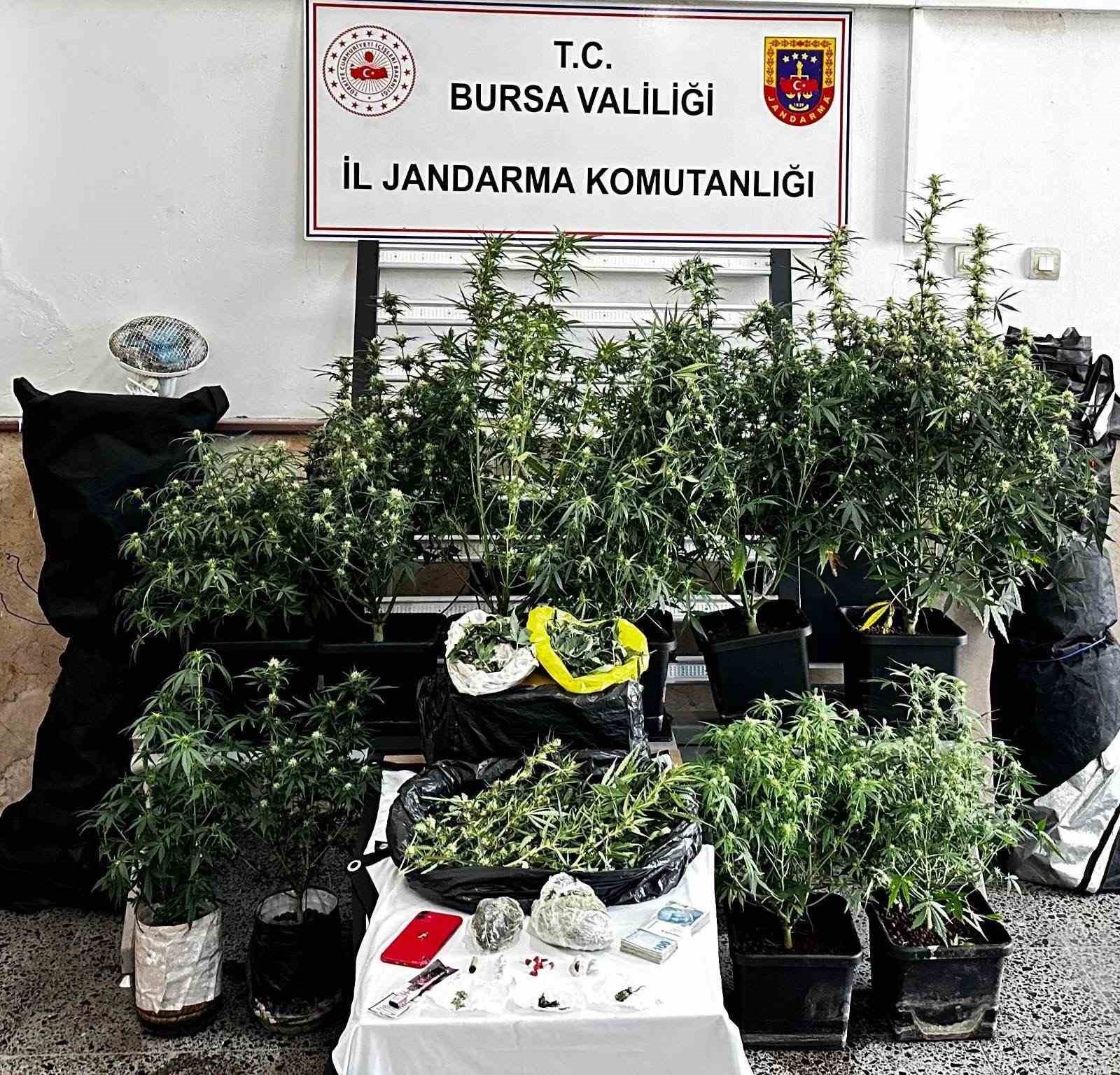 Osmangazi’de uyuşturucu operasyonu: 1 şüpheli tutuklandı