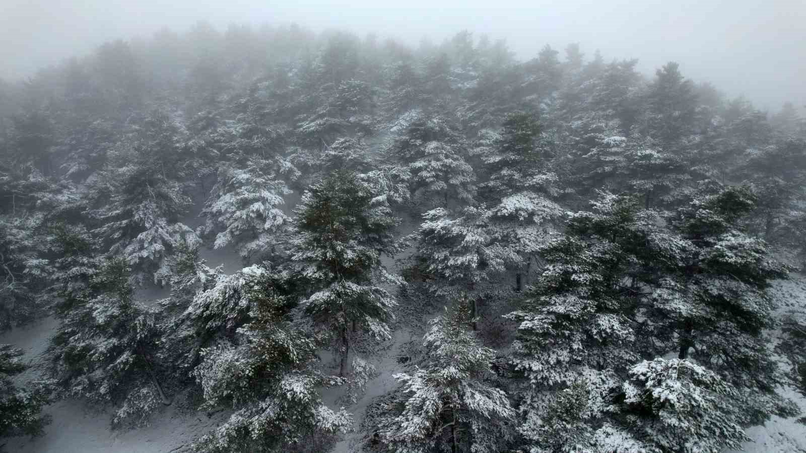 Tokat’ta bahar ortasında yağan kar mest etti