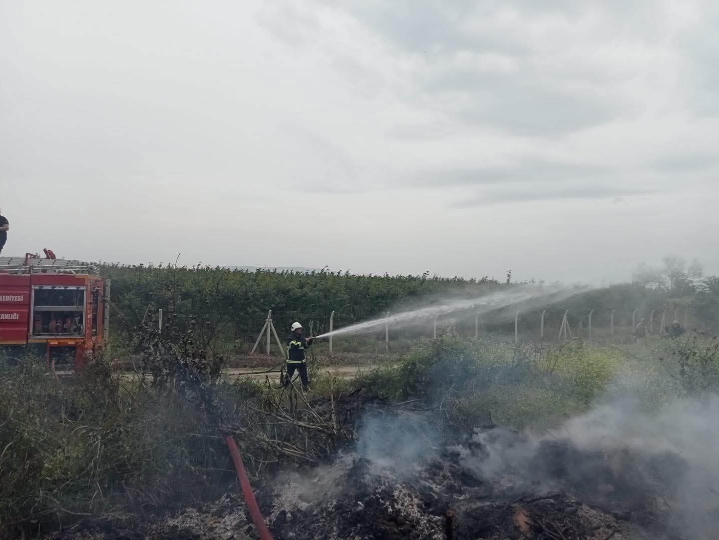 Hassa’da zeytinlik  yangını