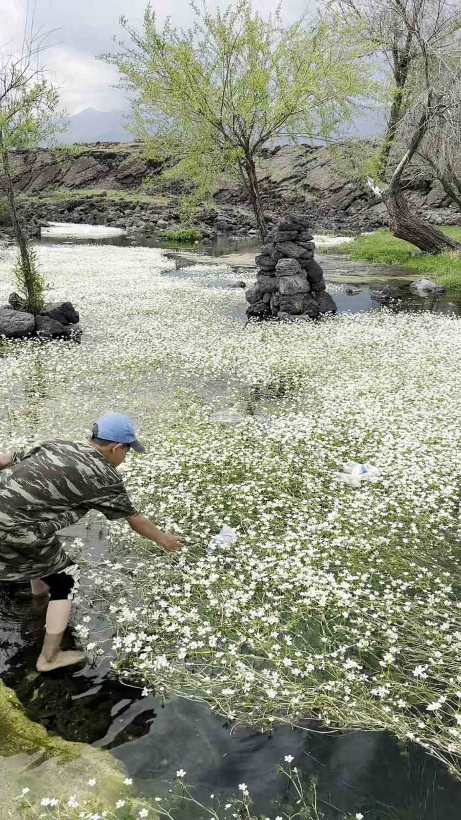 G&ouml;ldeki &ccedil;&ouml;pleri toplayan &ccedil;ocuk &ccedil;obandan sitem: "Hayvanlar kirletmiyor, siz kirletiyorsunuz"

